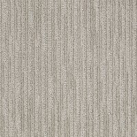 DSW.JUST.BECAUSE Tuftex Stainmaster Just Because Carpet
