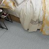 Tuftex Stainmaster Just Because Carpet-2