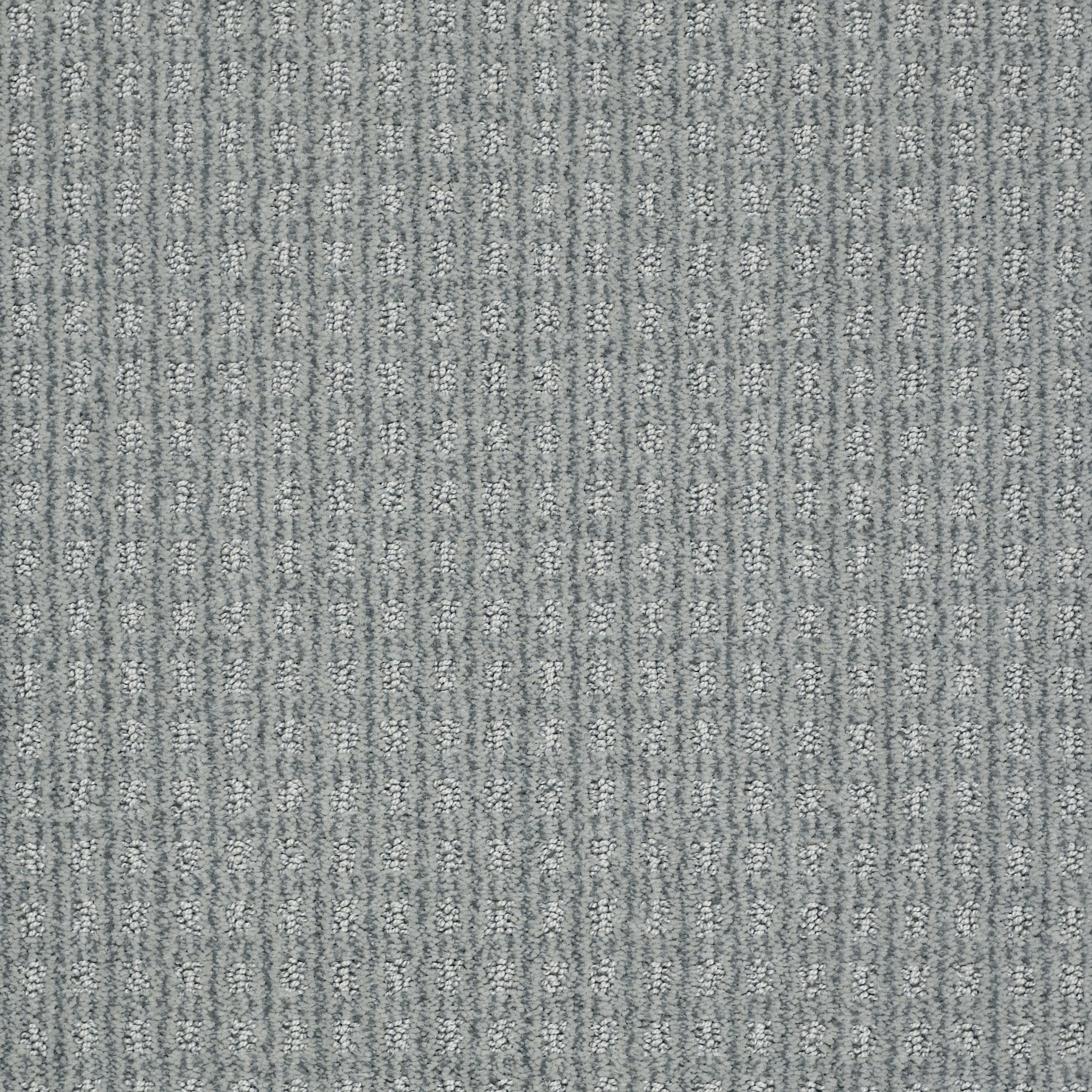 DSW.LIVING.LARGE Tuftex Living Large Carpet-1