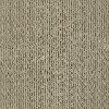 DSW.PROUD.DESIGN Tuftex Stainmaster Proud Design Carpet