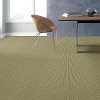 Tuftex Stainmaster Proud Design Carpet-2