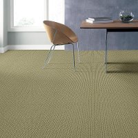 DSW.PROUD.DESIGN Tuftex Stainmaster Proud Design Carpet-2