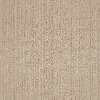 DSW.MUSIQUE.EFFECT Tuftex Stainmaster Musique Effect Carpet