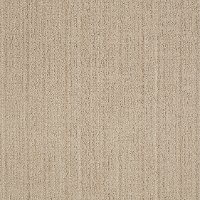 DSW.MUSIQUE.EFFECT Tuftex Stainmaster Musique Effect Carpet