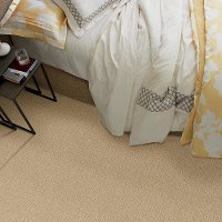 DSW.MUSIQUE.EFFECT Tuftex Stainmaster Musique Effect Carpet-2