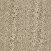 Shaw Cordovan Classic Carpet