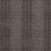 Shaw Modern Grid Carpet