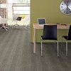 Shaw Modern Grid Carpet-2