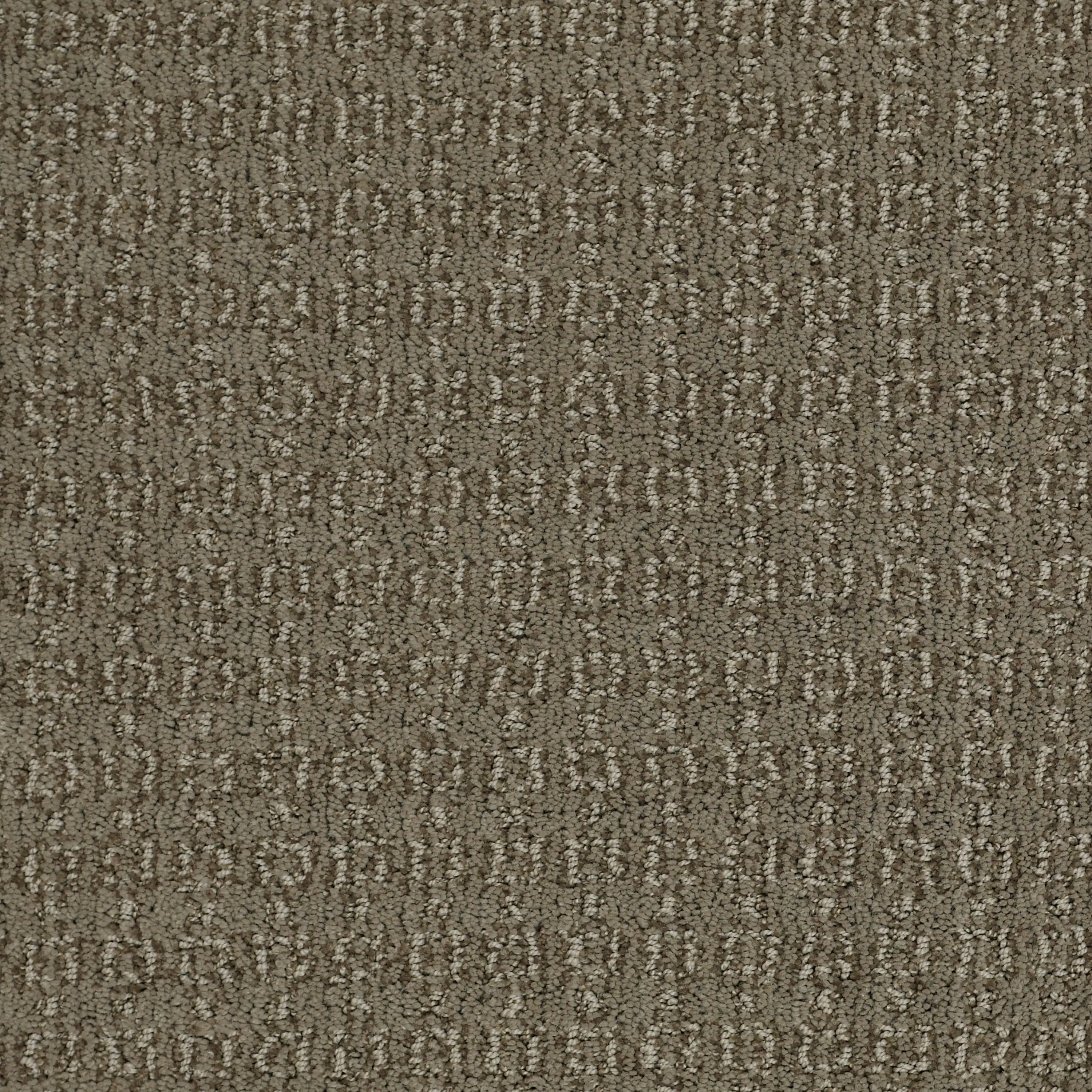 PHL.CHIC.CLASSIC Shaw Chic Classic Carpet-1