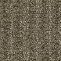 Shaw Chic Classic Carpet