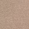 KAR.BOTANICAL.ELEGANCE Karastan Botanical Elegance Carpet