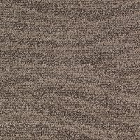 KAR.NATURAL.INFLUENCE Karastan Natural Influence Carpet
