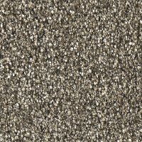 BBFS.SOLO.STOCK Best Buy Solo Carpet