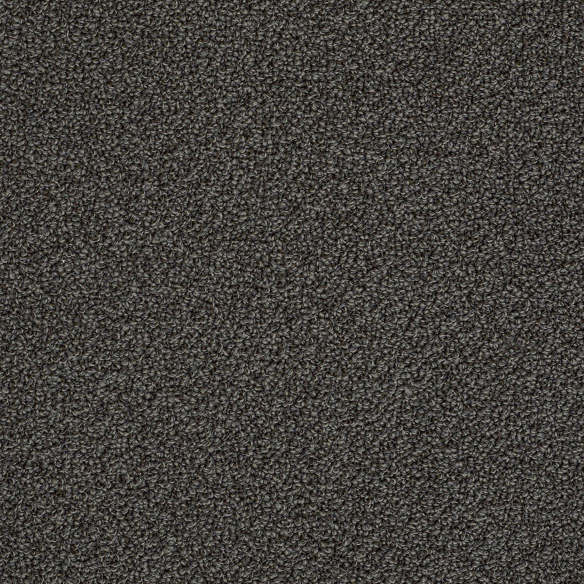 DSW.MASTER.TITLE Tuftex Master Title Carpet-1