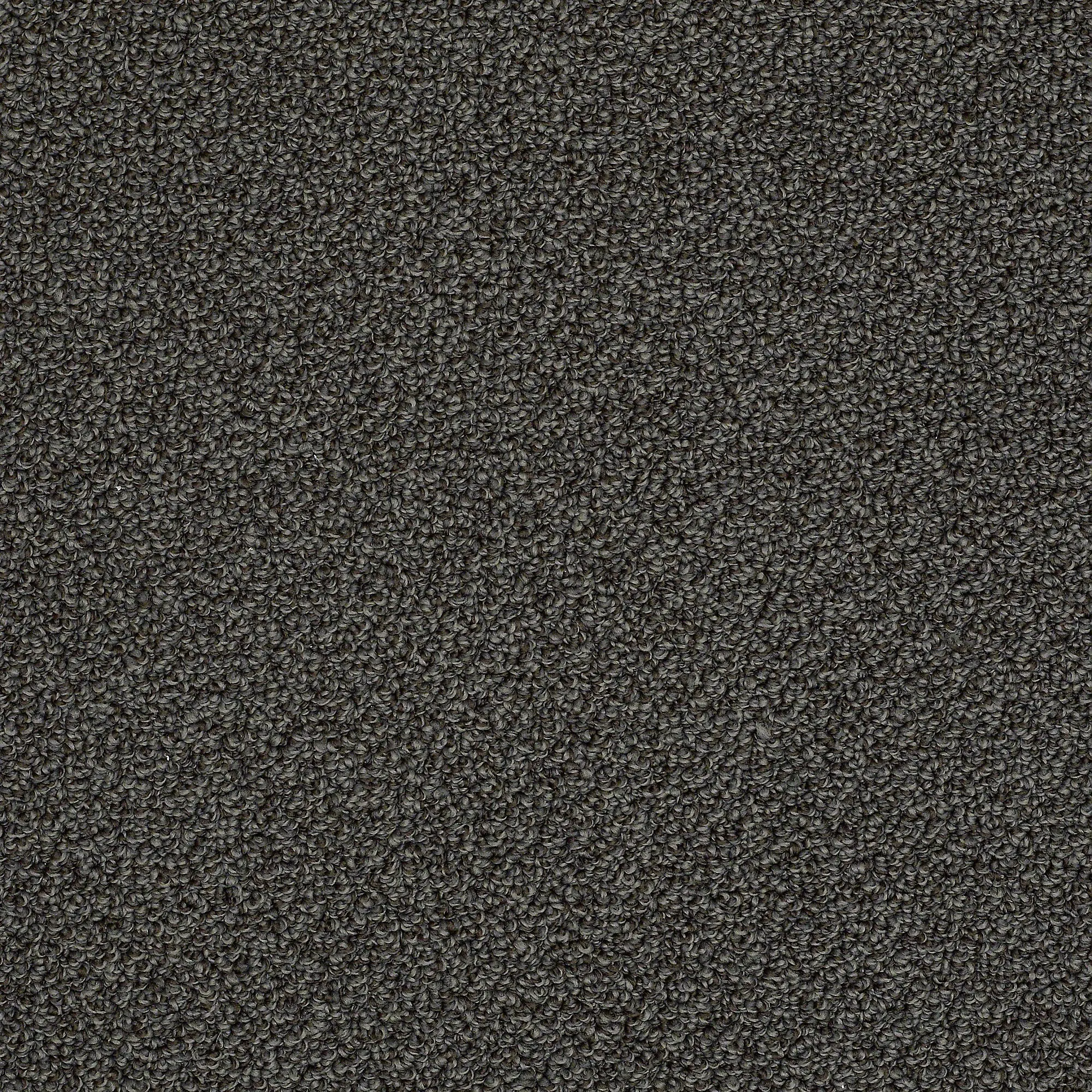 DSW.MASTER.TITLE Tuftex Master Title Carpet-1