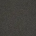 DSW.MASTER.TITLE Tuftex Master Title Carpet