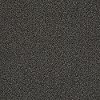 DSW.MASTER.TITLE Tuftex Stainmaster Master Title Carpet