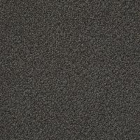Tuftex Stainmaster Master Title Carpet