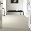 Tuftex Stainmaster Master Title Carpet-2