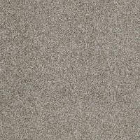 Tuftex Stainmaster Hillshire Carpet