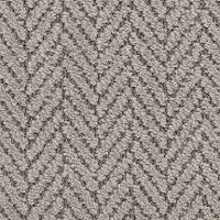 Masland Stainmaster Distinguished Carpet