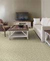 Masland Stainmaster Distinguished Carpet-2
