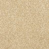 MSL.THIS.AND.THAT Masland Stainmaster This and That Carpet