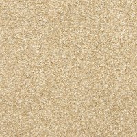 Masland Stainmaster This and That Carpet