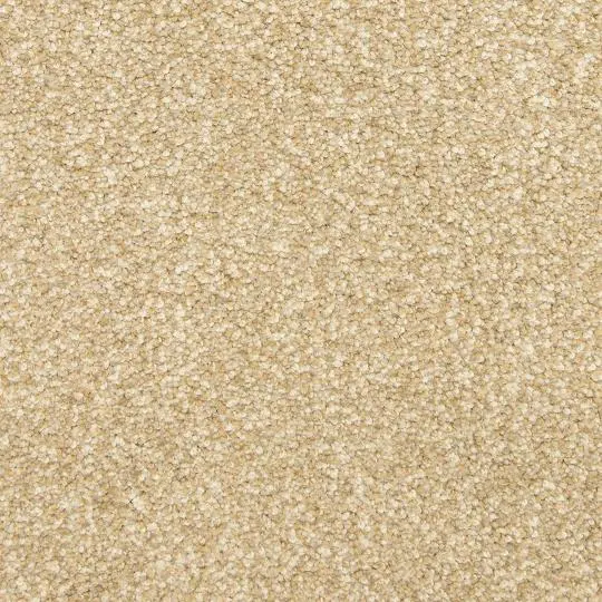 MSL.THIS.AND.THAT Masland This and That Carpet-1