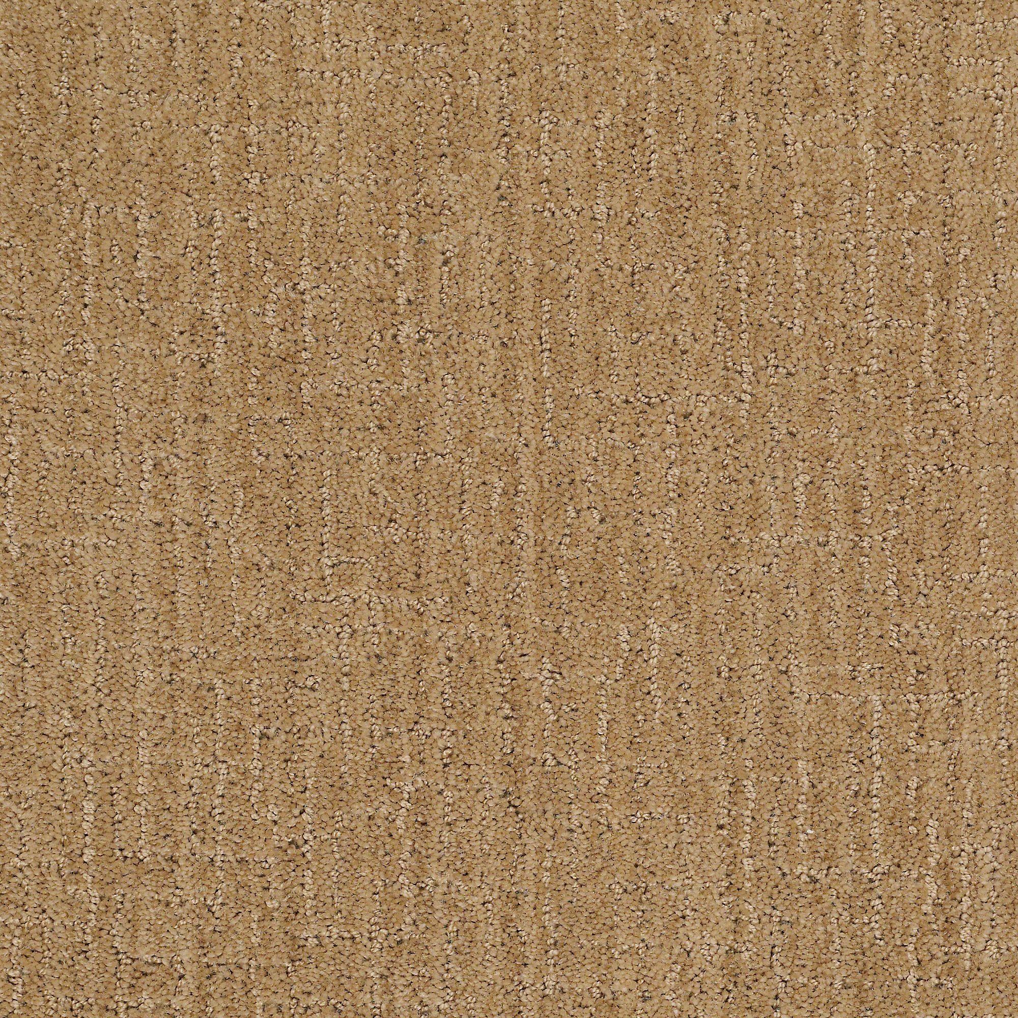 DSW.COVINGTON.LANE Tuftex Covington Lane Carpet-1