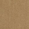 DSW.COVINGTON.LANE Tuftex Stainmaster Covington Lane Carpet