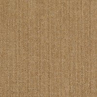 Tuftex Stainmaster Covington Lane Carpet