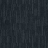 DSW.PIENZA Tuftex Stainmaster Pienza Carpet