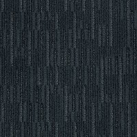 Tuftex Stainmaster Pienza Carpet