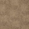 Tuftex Stainmaster Sardinia Carpet-1