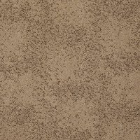 Tuftex Stainmaster Sardinia Carpet