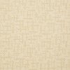 Tuftex Stainmaster Cortona Carpet-1