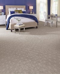 DSW.TREVISO Tuftex Stainmaster Treviso Carpet-2