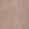 Tuftex Stainmaster Good Life Carpet