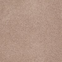 Tuftex Stainmaster Good Life Carpet