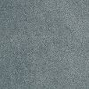 Tuftex Stainmaster Living Well Carpet