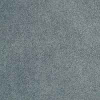 Tuftex Stainmaster Living Well Carpet