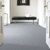 Tuftex Stainmaster Living Well Carpet-2