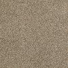 PHL.POSSIBILITIES.II Shaw Possibilities II Carpet