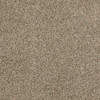 Shaw Possibilities II Carpet
