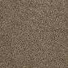 PHL.POSSIBILITIES.III Shaw Possibilities III Carpet