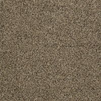 PHL.POSSIBILITIES.III Shaw Possibilities III Carpet