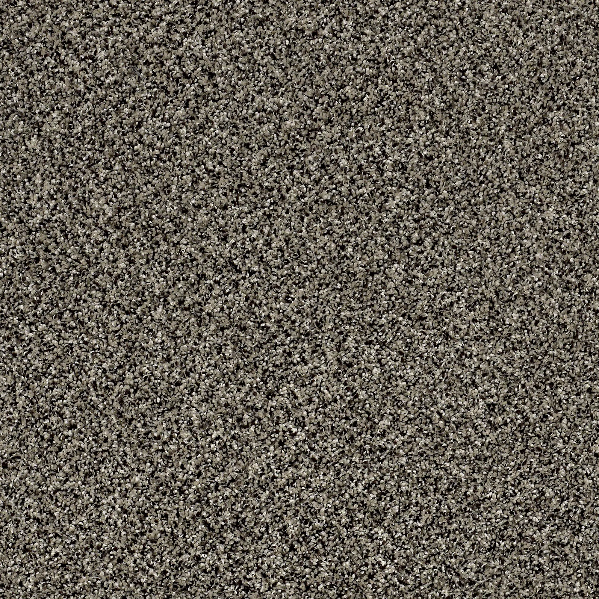 QUE.STUNNING.I.STOCK Shaw Stunning I Carpet-1