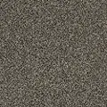 QUE.STUNNING.I.STOCK Shaw Stunning I Carpet