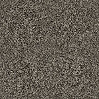 QUE.STUNNING.I.STOCK Shaw Stunning I Carpet